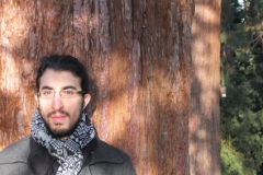 avishai_darash_2013